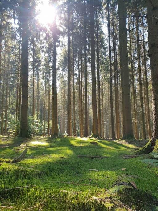 Gite N° 20, En Pleine Nature, Frontalier Signy-le-Petit Экстерьер фото